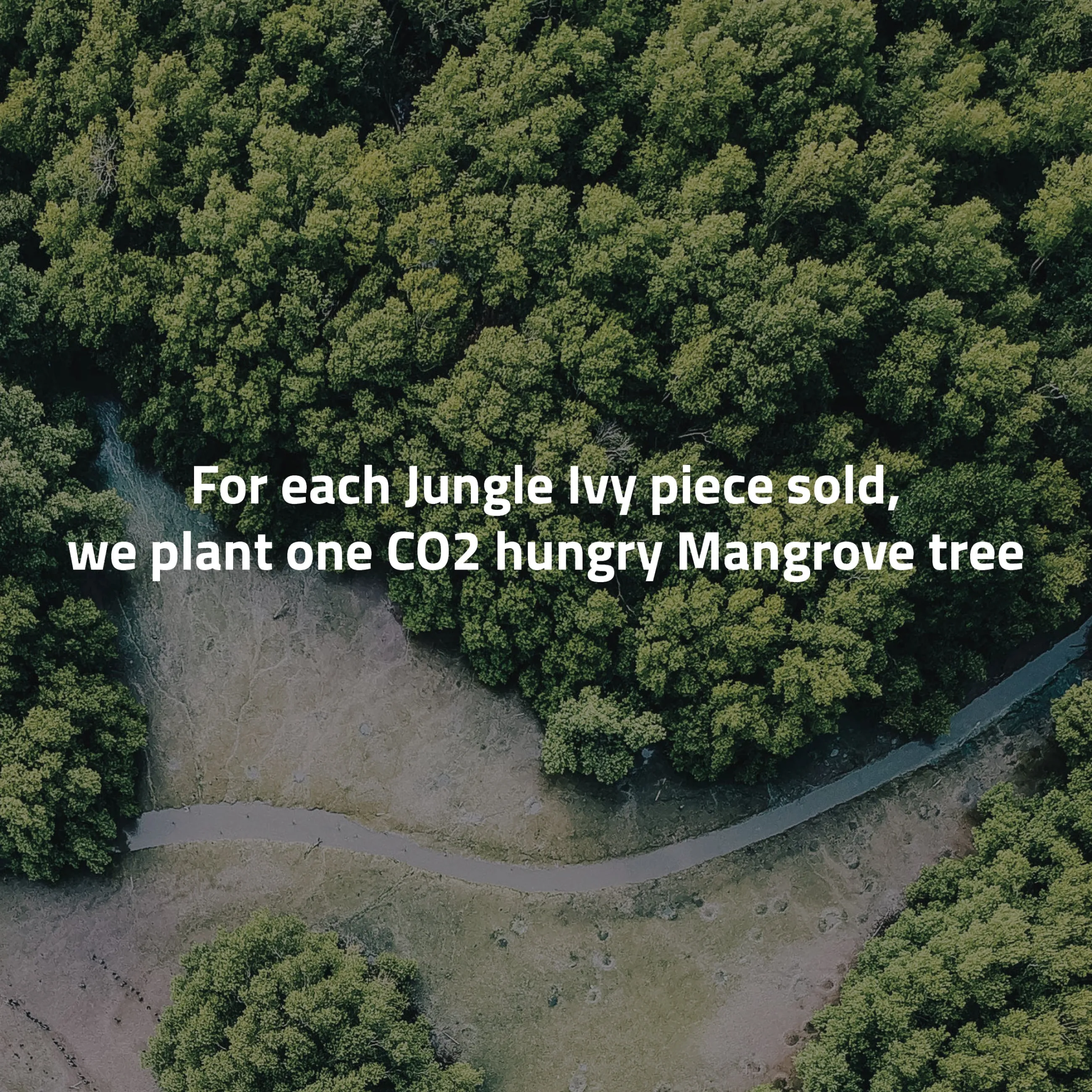 jungle_vine_sparkle_armbnd_2-2.webp byBiehl® Danmark Jungle Vine Sparkle armbånd Sterling sølv / Zirkonia New